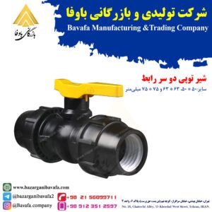 شیر توپی دو سر ماده
