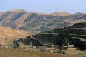 کاوه گستر