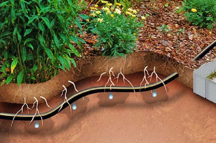 آبیاری زیر سطحی