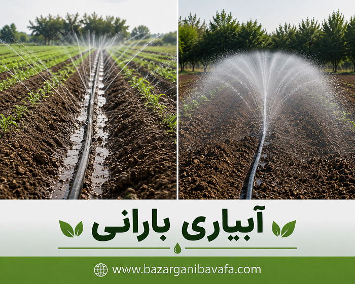 آبیاری بارانی